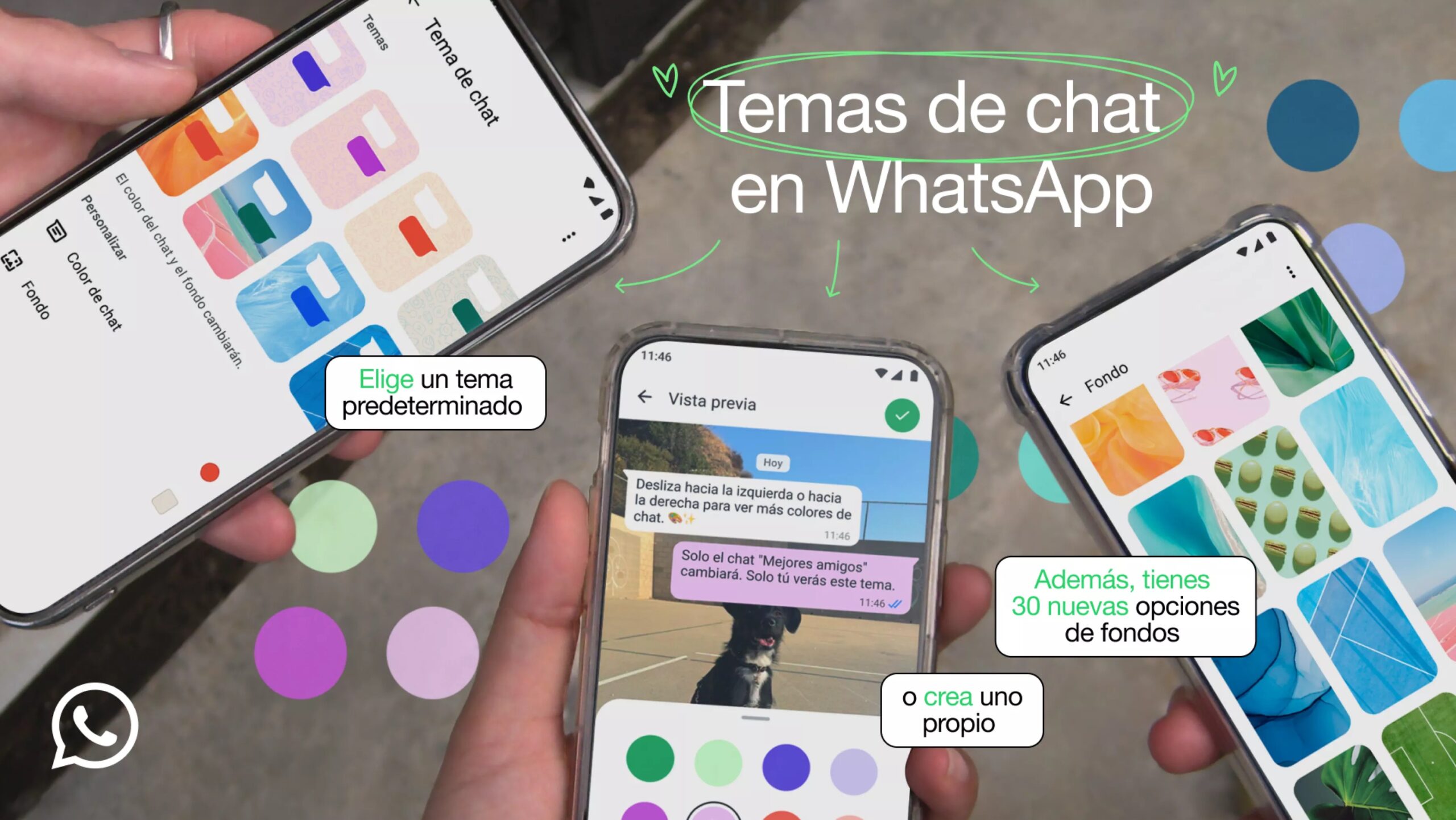 Cómo usar los nuevos temas en WhatsApp