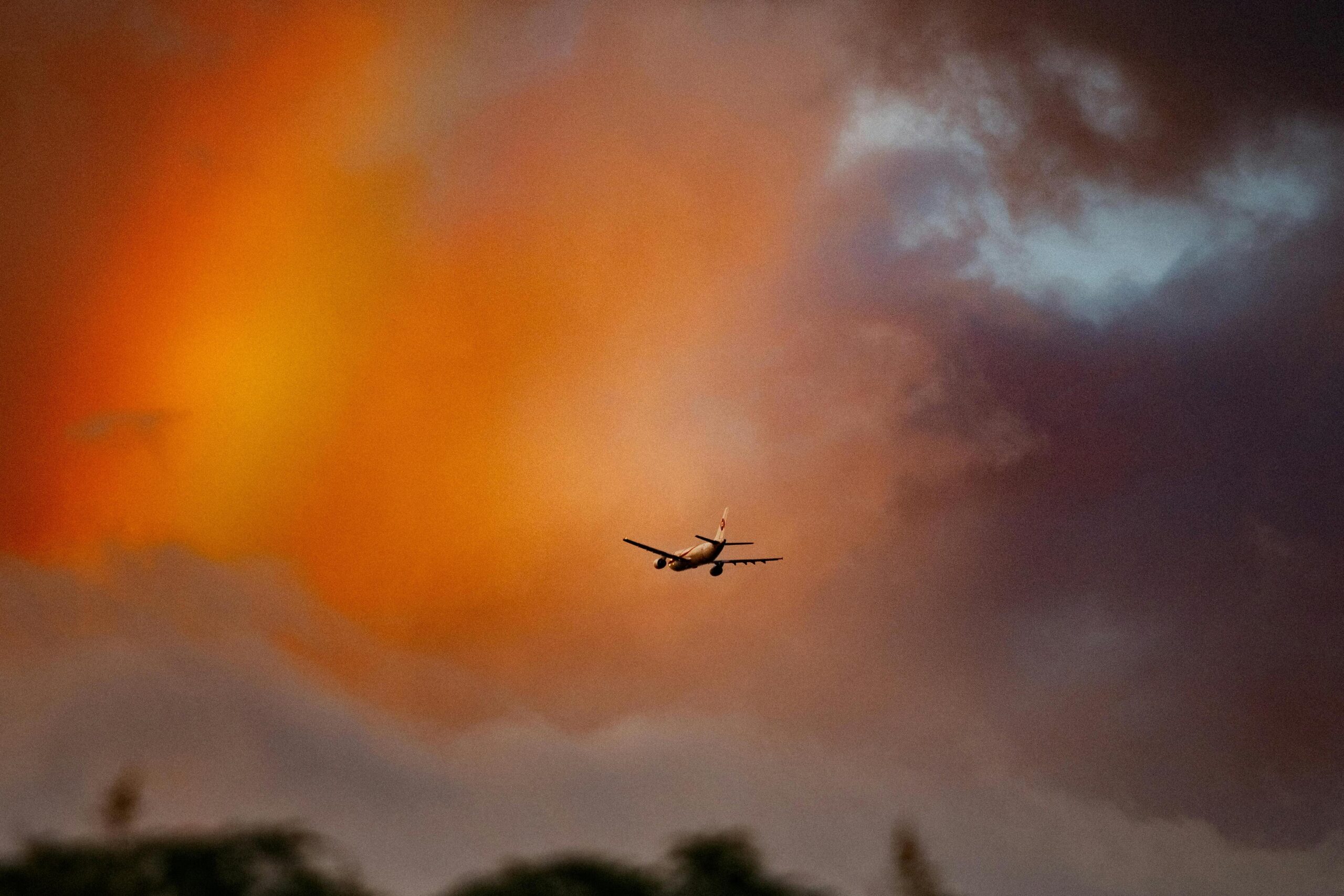 Ingresan a México más de 6 millones 121 mil turistas extranjeros vía aérea