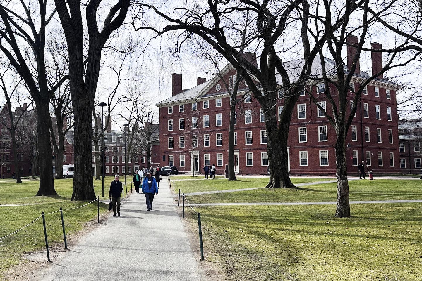 Cancelarán fondos a la Universidad de Harvard