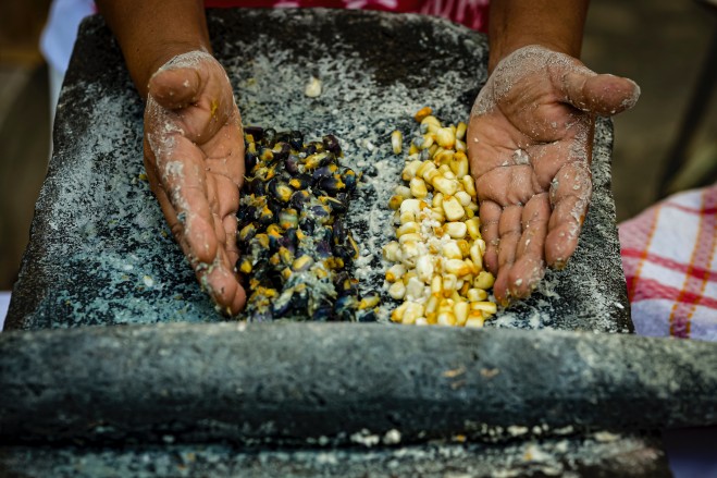 Trabajan con Sader para impulsar el agroturismo en Morelos