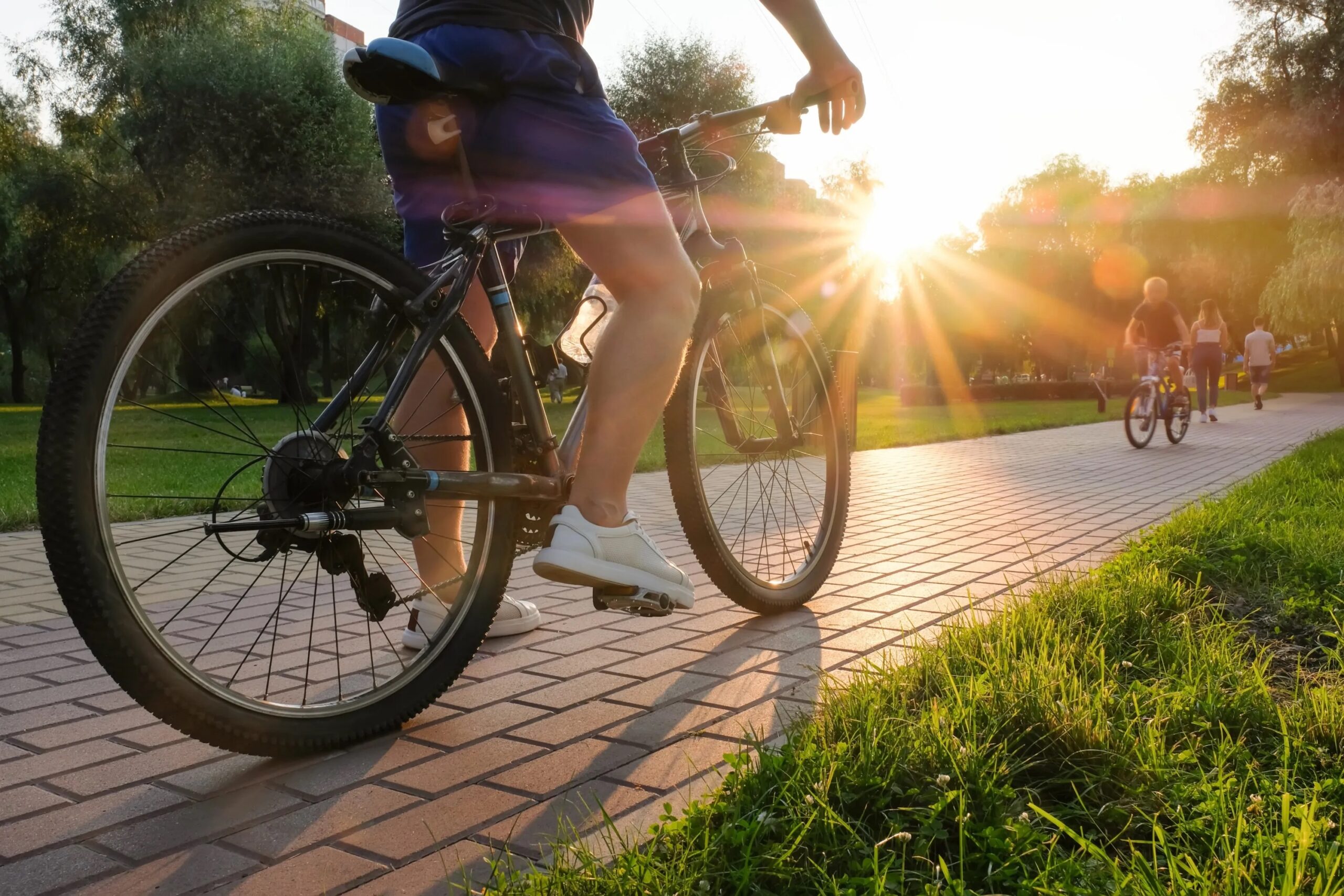 Recorre el mundo en bici