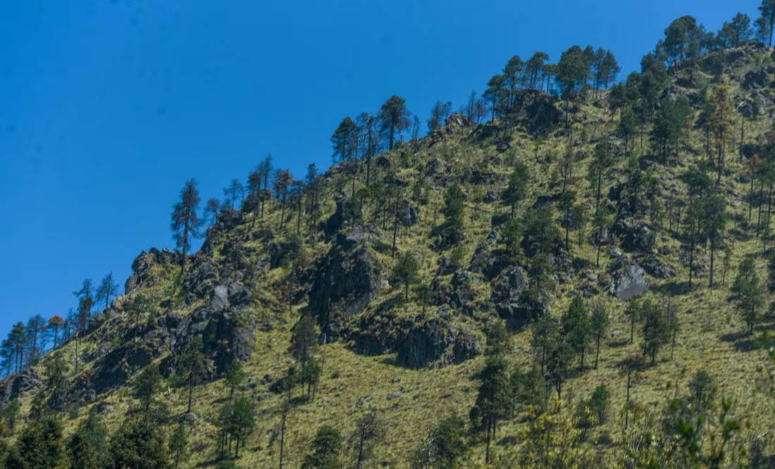 Anuncian estrategia de turismo responsable en el Nevado de Toluca; perfila reapertura de actividades