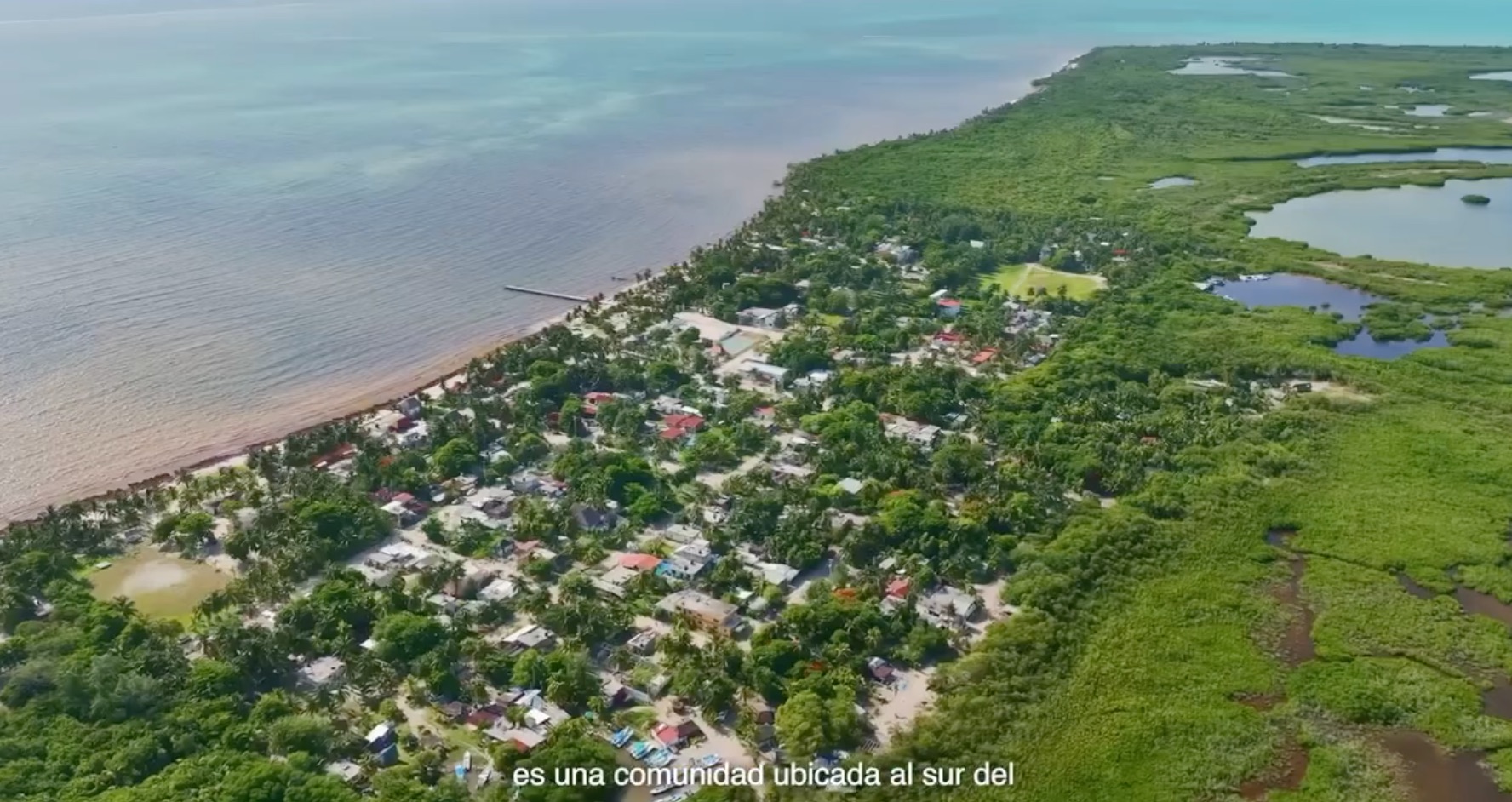 Punta Allen y el Festival de la Langosta 2025