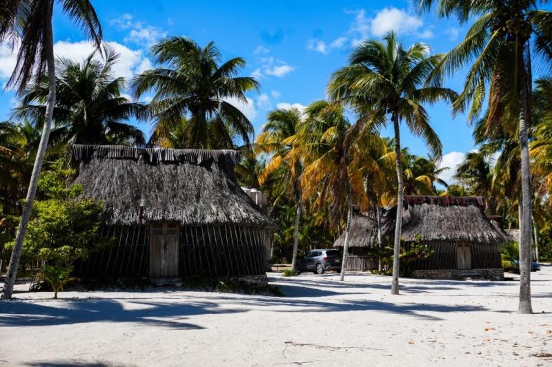 Impulsan conservación de manglares en San Crisanto