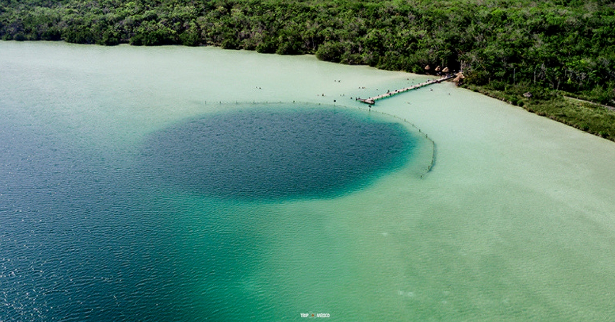 Descubre Laguna Kaan Luum: el rincón escondido de Tulum que enamora por su belleza natural