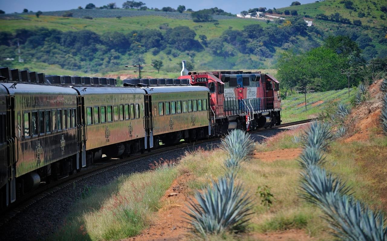 Ruta del Tequila impulsa economía a 20 años de su creación