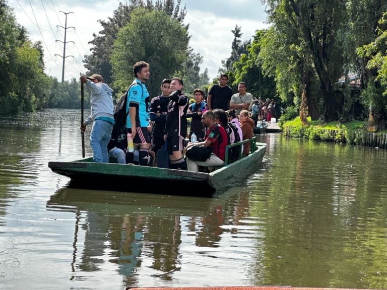 Canchas de futbol y turismo matan al Ajolote en Xochimilco