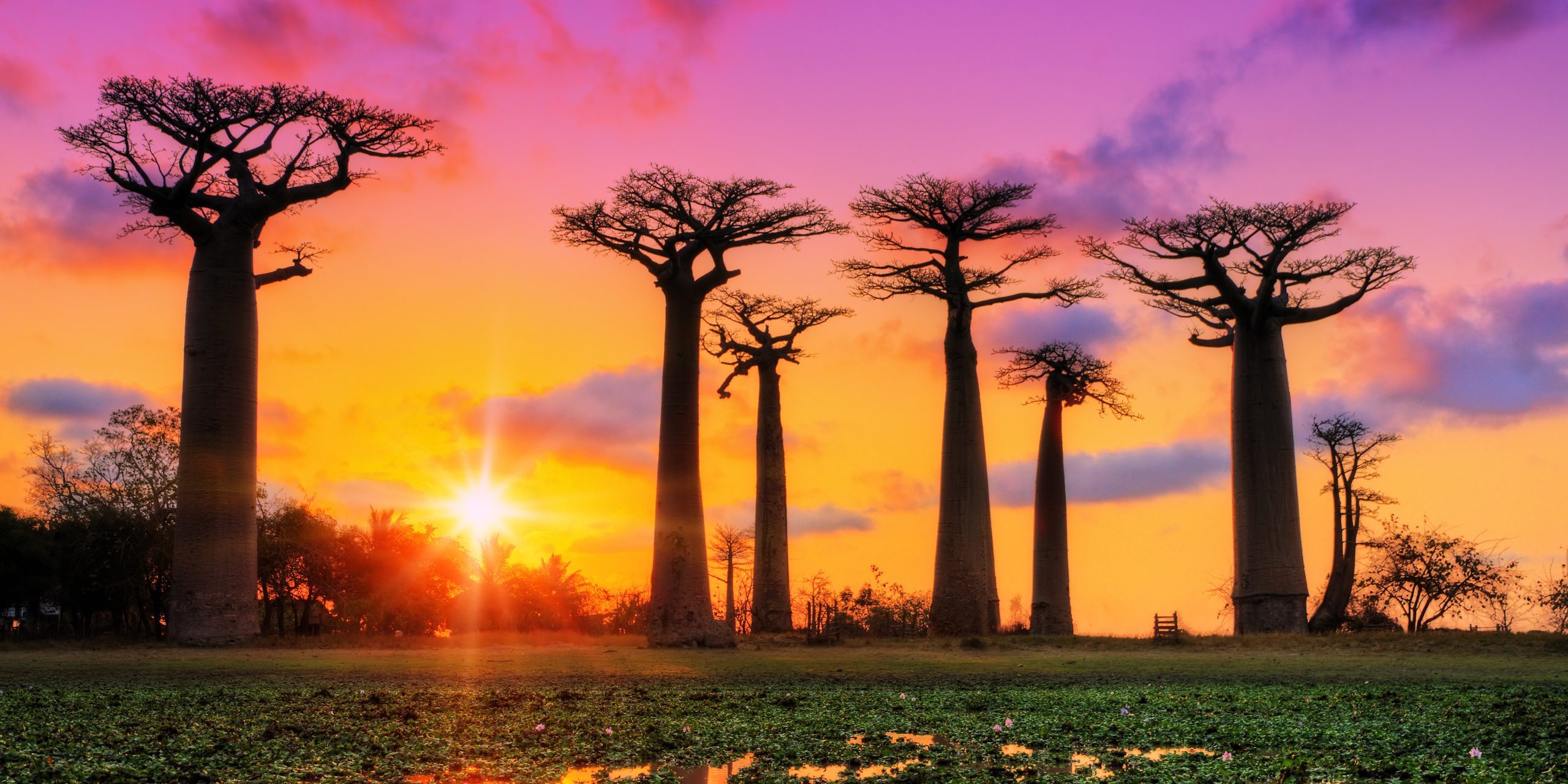 Turismo en África incrementa